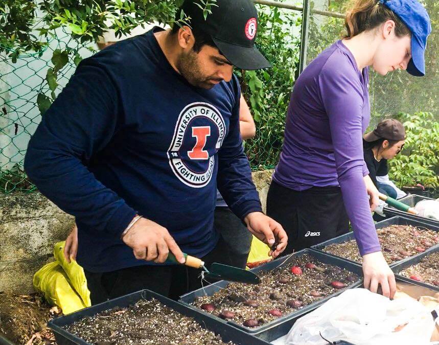 Students working on crops