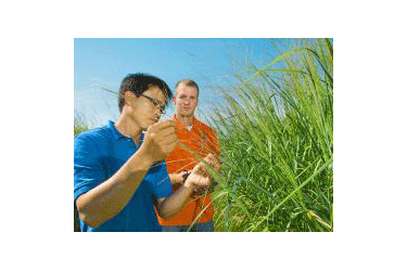 Professor DK Lee in the field with a student.